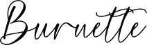 Burnette Demo.ttf