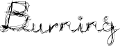 BURNL___.TTF