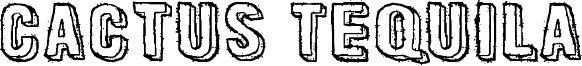 Cactus Tequila Font