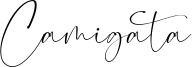 Camigata.otf