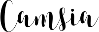 Camsia.ttf