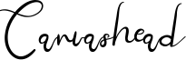 Canvashead Font