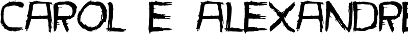 Carol e Alexandre Font