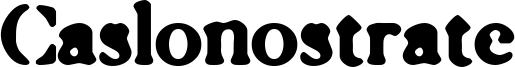 CASLONOS.TTF