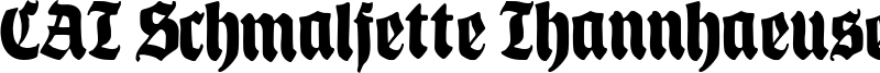 CAT Schmalfette Thannhaeuser Font
