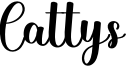 Cattys Font