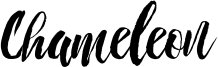 Chameleon.ttf