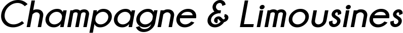 Champagne & Limousines Bold Italic.ttf