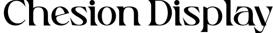 Chesion Display Font