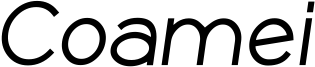 COAMEI_BI.ttf