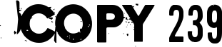 Copy 239 Font