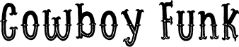 Cowboy Funk Font