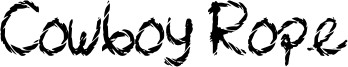 Cowboy Rope Font