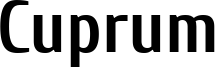 Cuprum-Bold.ttf