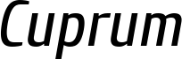 Cuprum-Italic.ttf