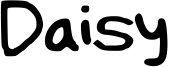 Daisy Font