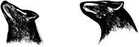 Dogs Font