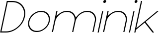 Dominik Thin Italic.ttf