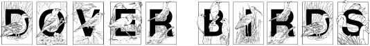 Dover Birds Filled.ttf