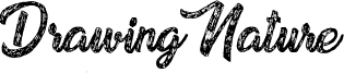 Drawing Nature Font