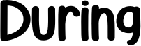 During Font