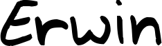 Erwin Font