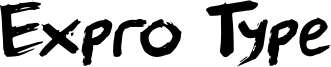Expro Type Font