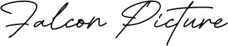 Falcon Picture Font