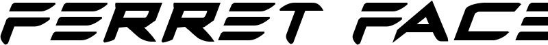 ferretfaceboldital.ttf