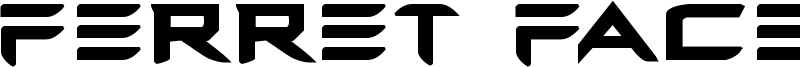 ferretfacebold.ttf