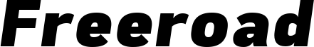 Freeroad Black Italic.ttf