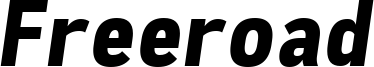 Freeroad Bold Italic.ttf