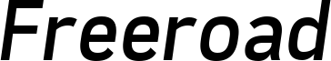Freeroad Italic.ttf