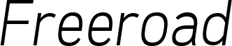 Freeroad Light Italic.ttf