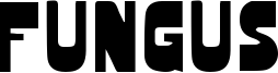 Fungus Font