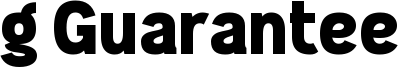 g Guarantee Font