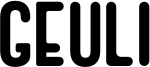 GEULI.ttf
