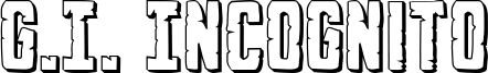 gi_incognito3d.ttf