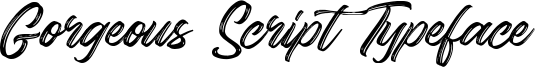 Gorgeous Script Typeface Font