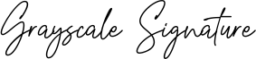 Grayscale Signature Font