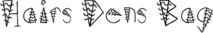 Hairs Dens Bag Font