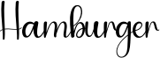Hamburger Font