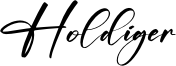 Holdiger Font