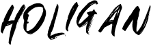 HOLIGAN.otf