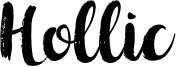 Hollic Font