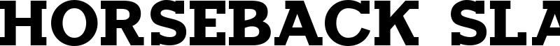 Horseback Slab Font