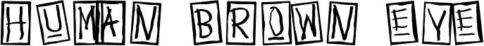 Human Brown Eye Font