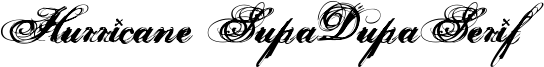 Hurricane SupaDupaSerif Font