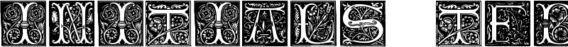 Initials TFB Font