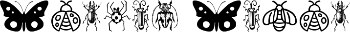 Insect Icons Font